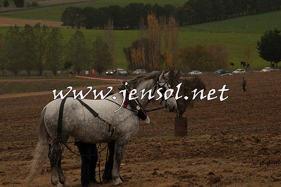 WooBack_0601