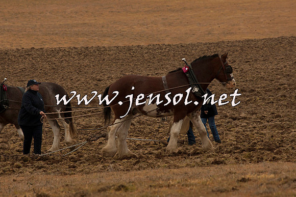 WooBack_0681