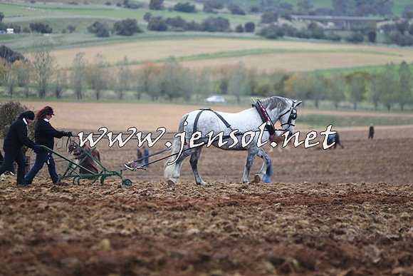WooBack_0344