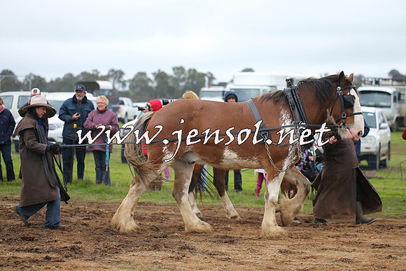 WooBack_0134
