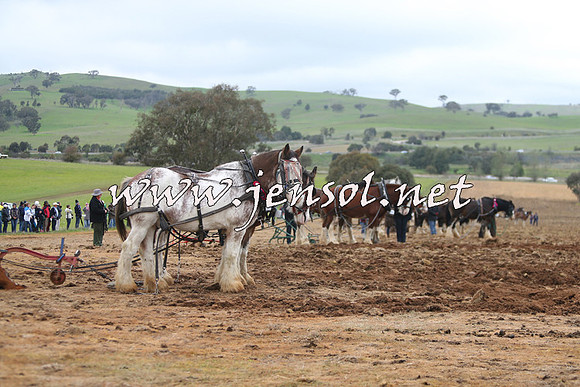 WooBack_0223