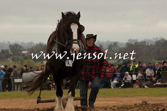 WooBack_0693