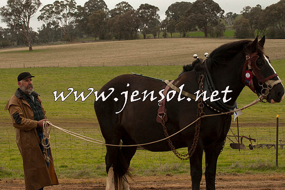WooBack_0646