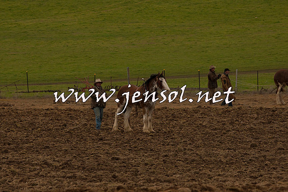 WooBack_0572
