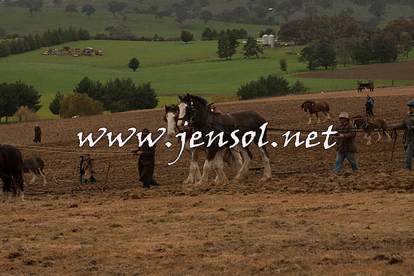 WooBack_0678