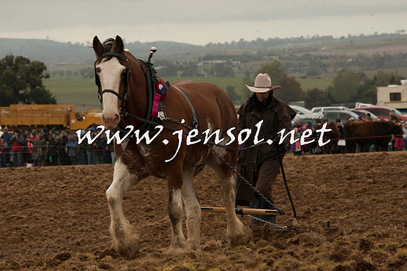 WooBack_0676