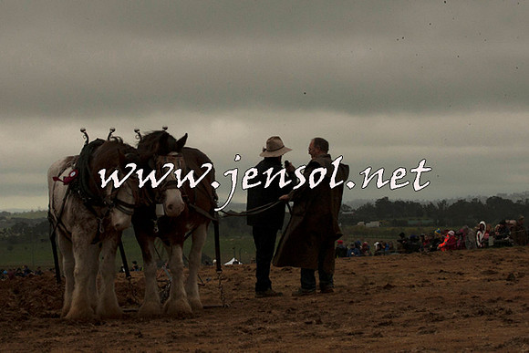 WooBack_0611