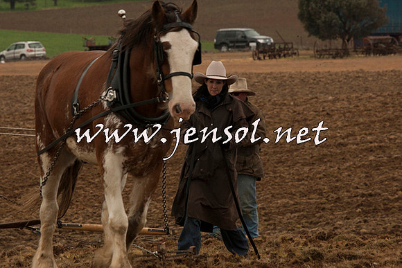 WooBack_0695