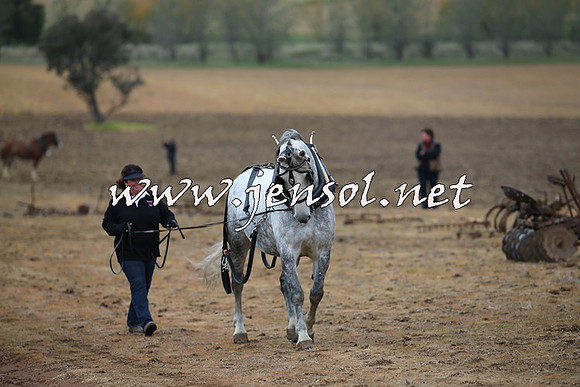 WooBack_0015