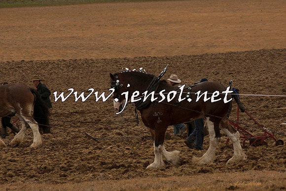 WooBack_0685