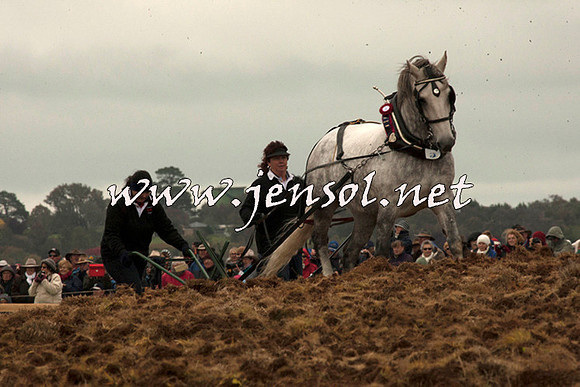 WooBack_0672
