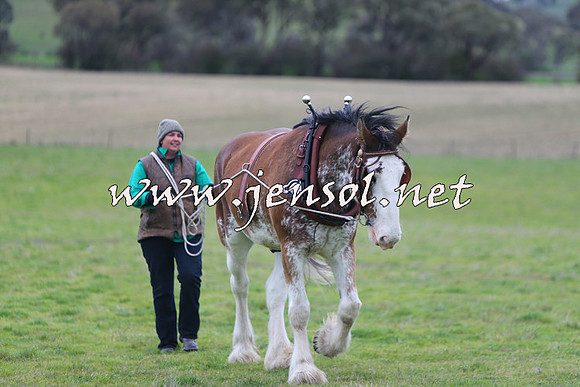WooBack_0393