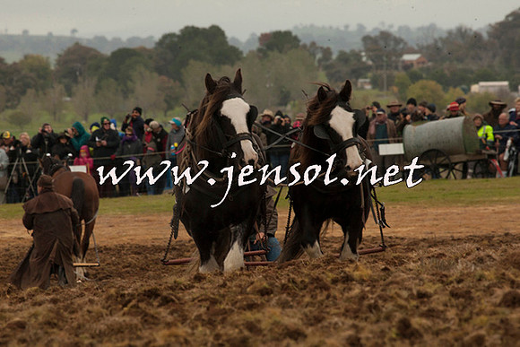 WooBack_0688