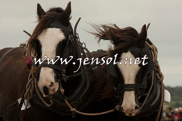 WooBack_0713