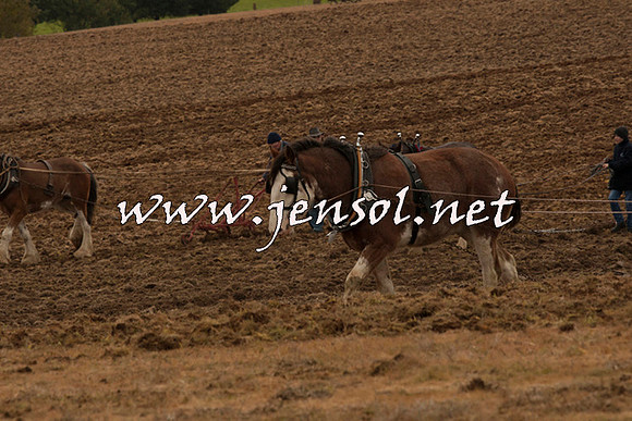 WooBack_0700