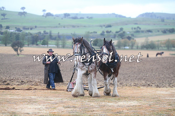 WooBack_0460