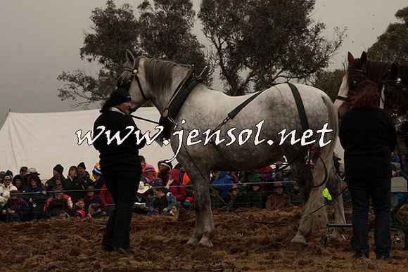 WooBack_0662