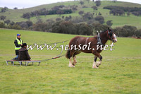 WooBack_0391