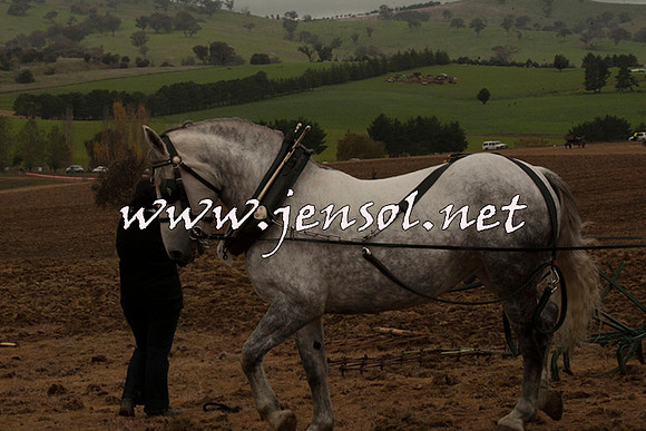 WooBack_0621