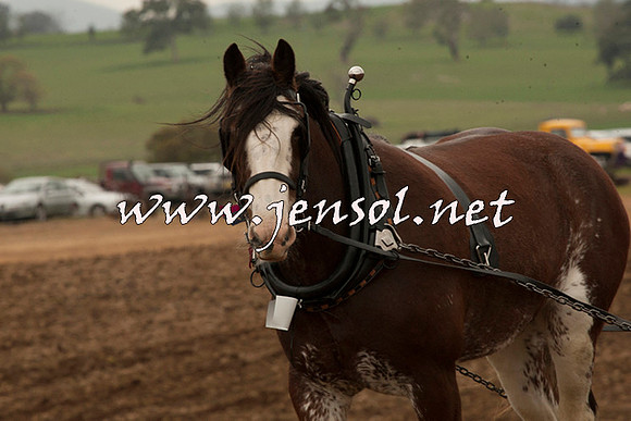 WooBack_0703