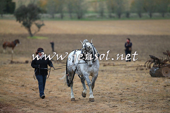 WooBack_0016