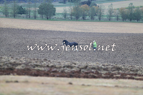 WooBack_0493
