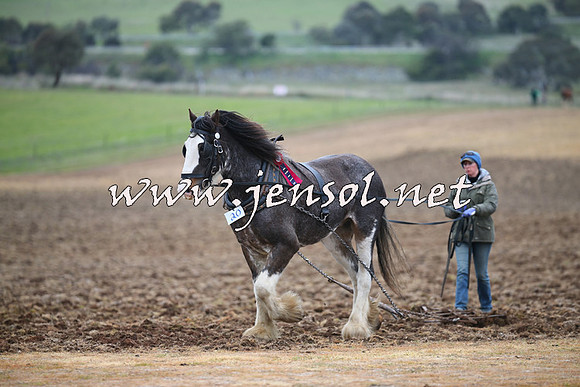 WooBack_0042
