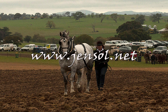 WooBack_0619