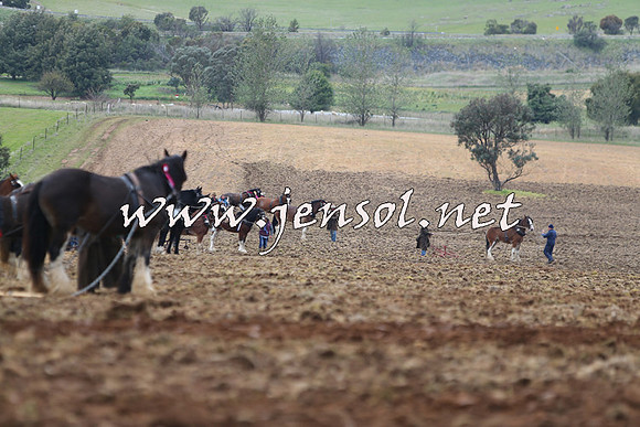 WooBack_0243