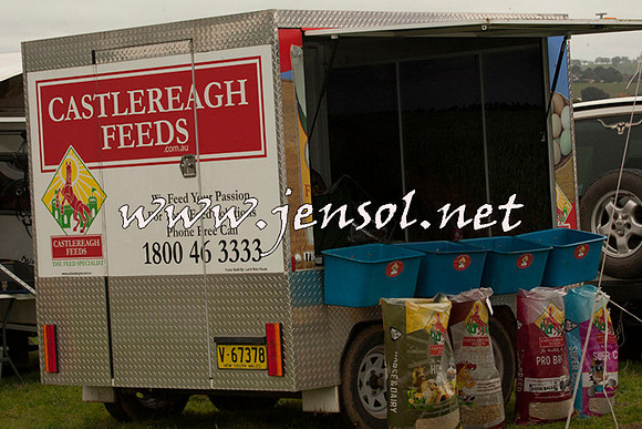 WooBack_0587