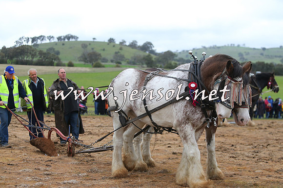 WooBack_0365