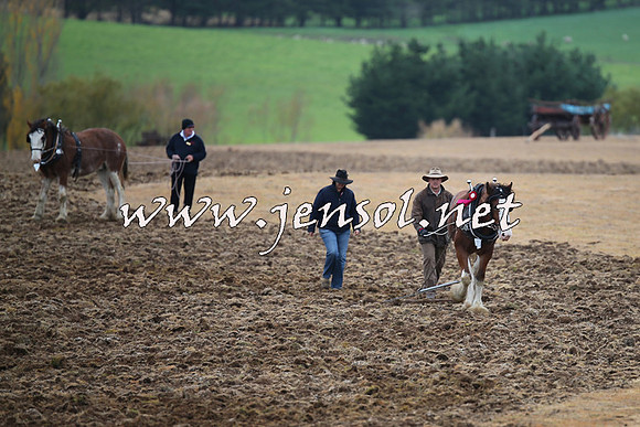 WooBack_0052