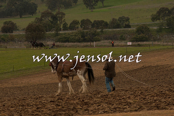 WooBack_0580