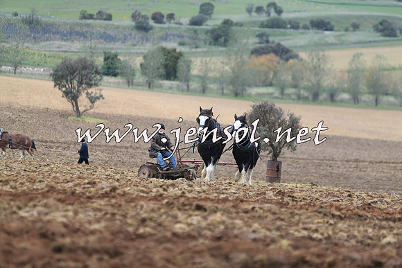 WooBack_0383