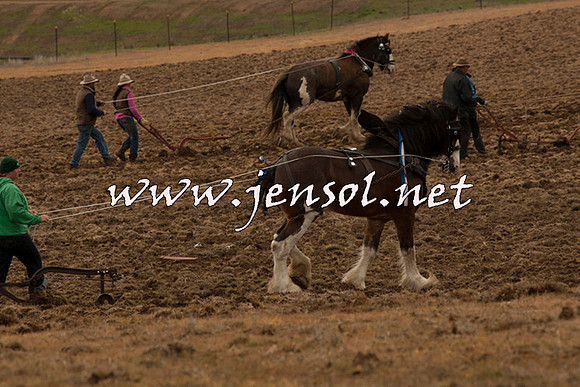 WooBack_0670