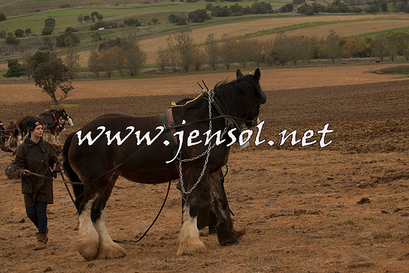 WooBack_0620