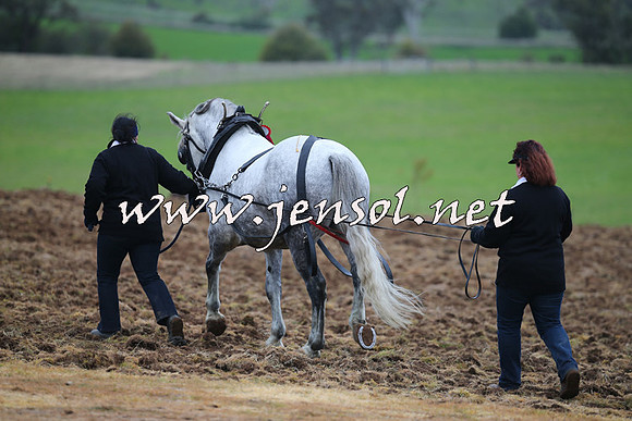 WooBack_0048