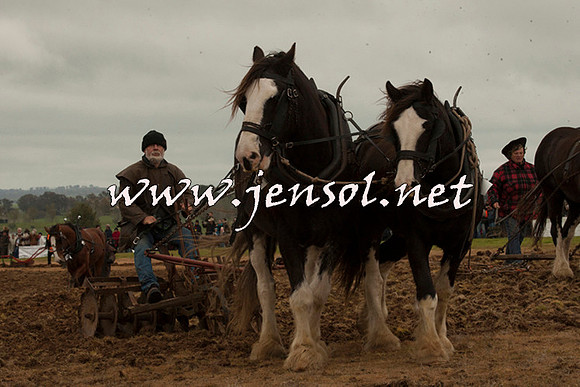 WooBack_0714