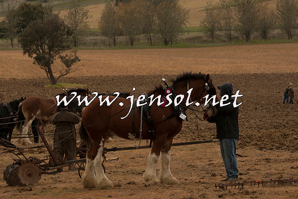 WooBack_0637