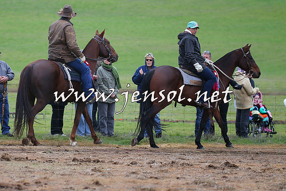 WooBack_0132