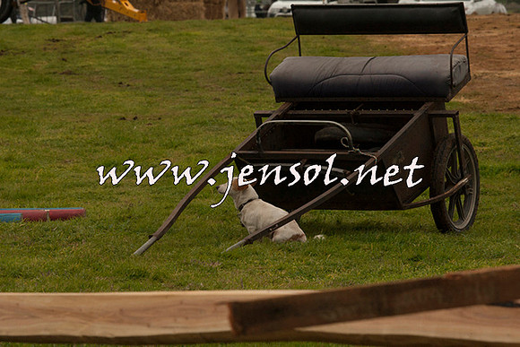 WooBack_0582