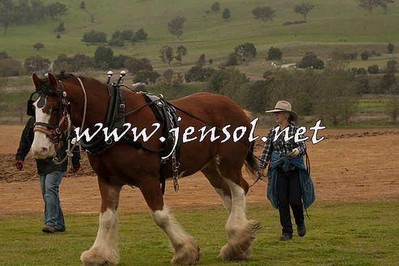 WooBack_0569