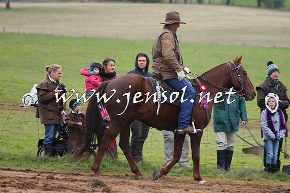 WooBack_0128