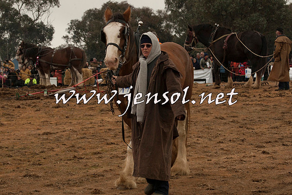 WooBack_0658