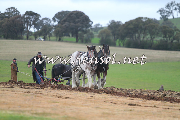 WooBack_0471