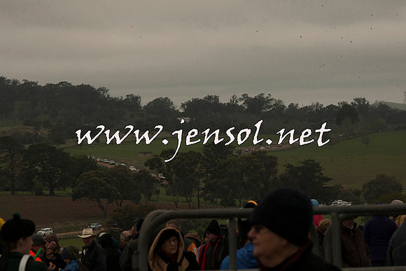 WooBack_0596