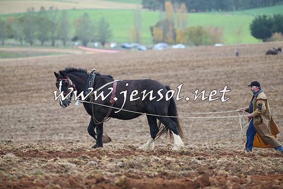 WooBack_0122