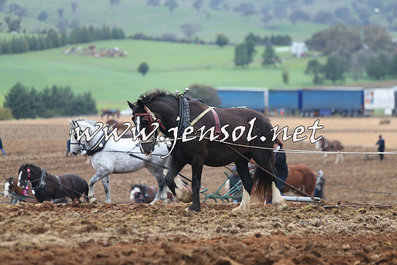 WooBack_0315
