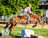 BOTB2019_4319