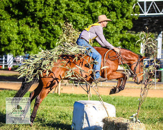BOTB2019_4319